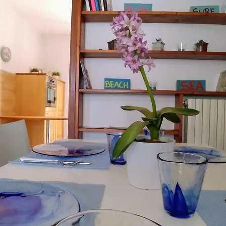 Ai Fenicotteri *